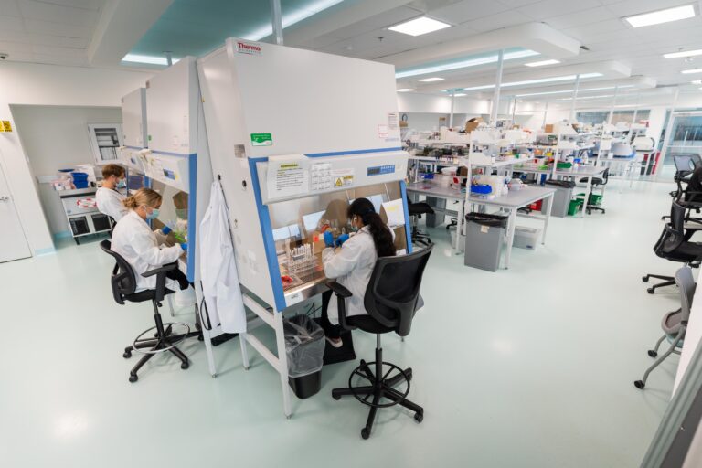 Scientists working at biosafety cabinets in a modern research laboratory.