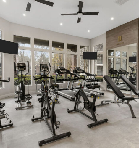 Stationary bicycles, treadmills, free weights, and yoga balls make up a modern gym.
