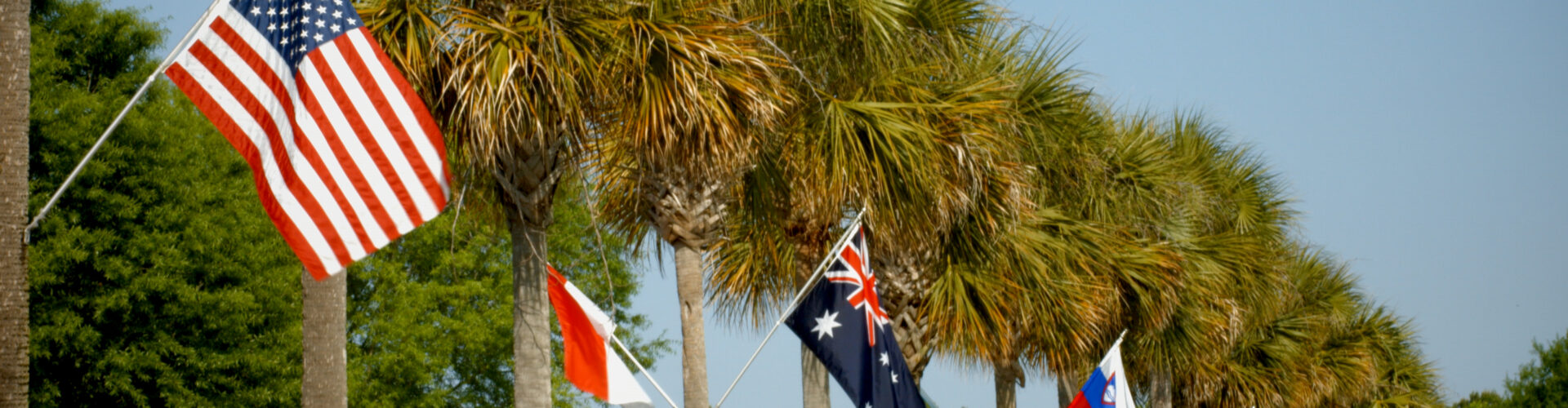 Flags from around the world line palm trees on a road.