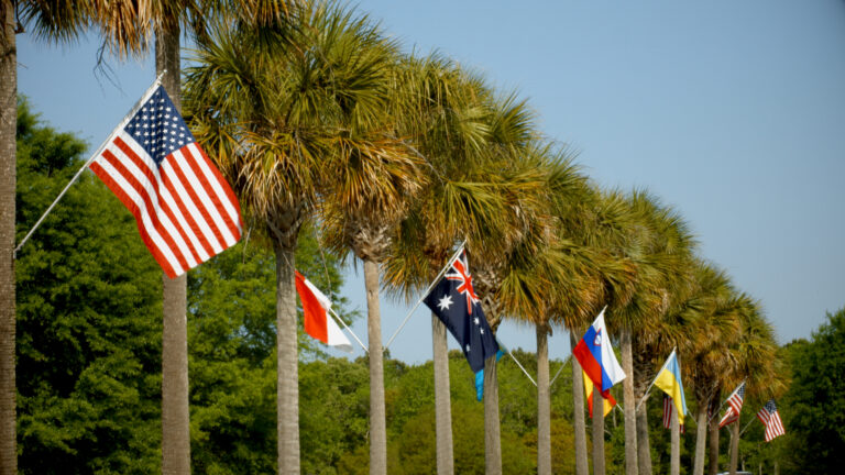 Flags from around the world line palm trees on a road.