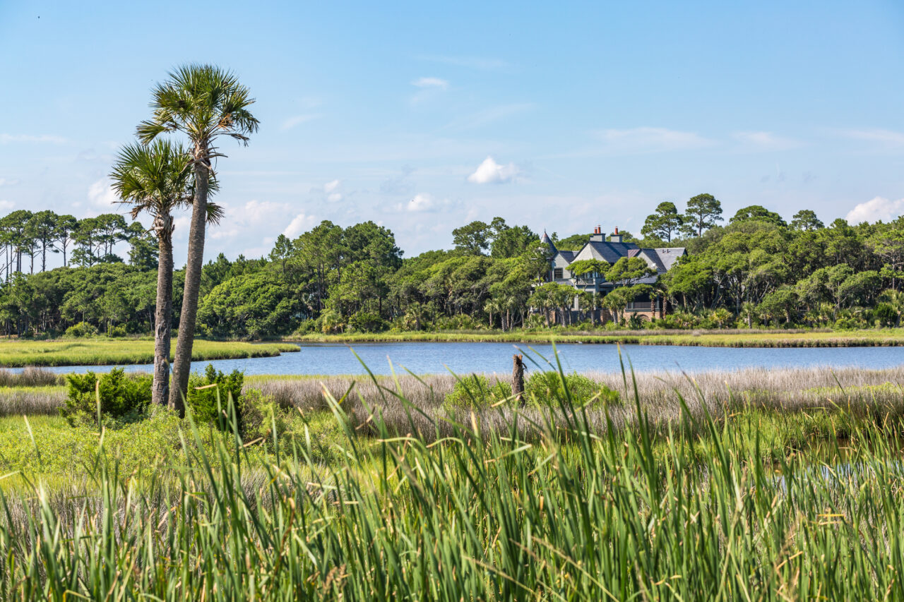 A marsh surrounded by green grass and trees during the day.