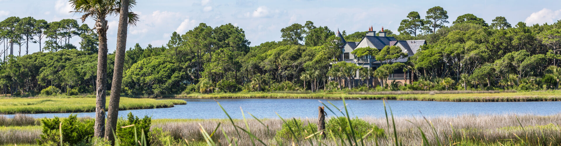 A marsh surrounded by green grass and trees during the day.
