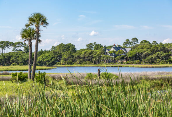 A marsh surrounded by green grass and trees during the day.