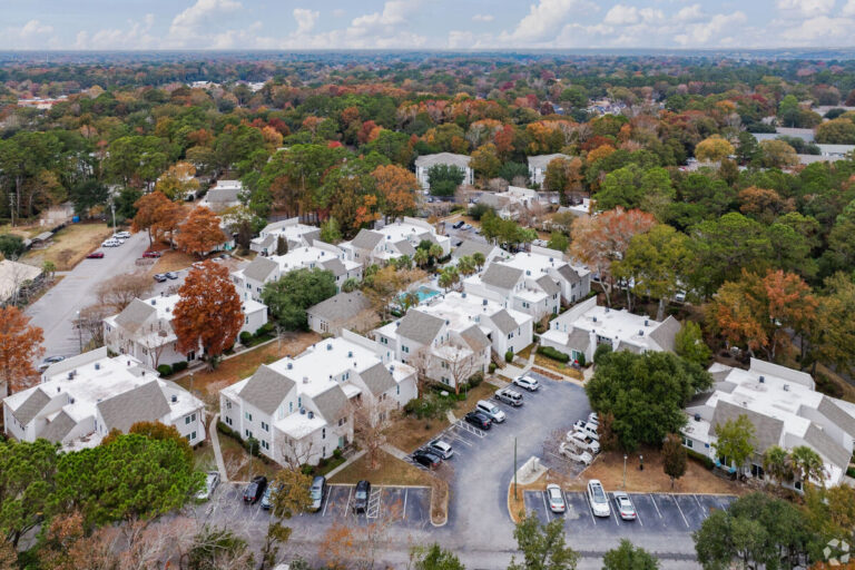 A birds-eye view of a neighborhood in the Charleston region.