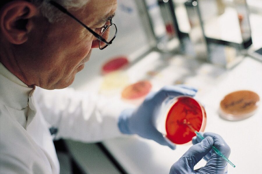 A close-up of a scientist working on a petri dish in a lab.